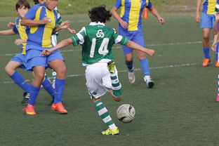 Scout遭遇五持续失利，法国队教练压力巨大！气势如虹延续-IM电竞亚洲首选